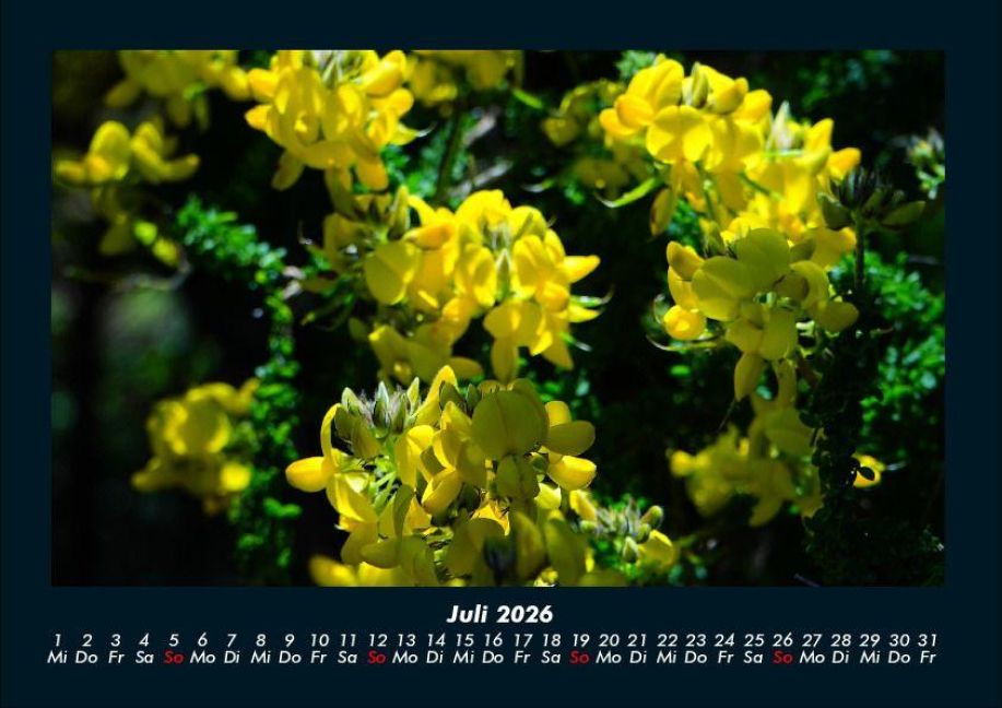 additionalImage11