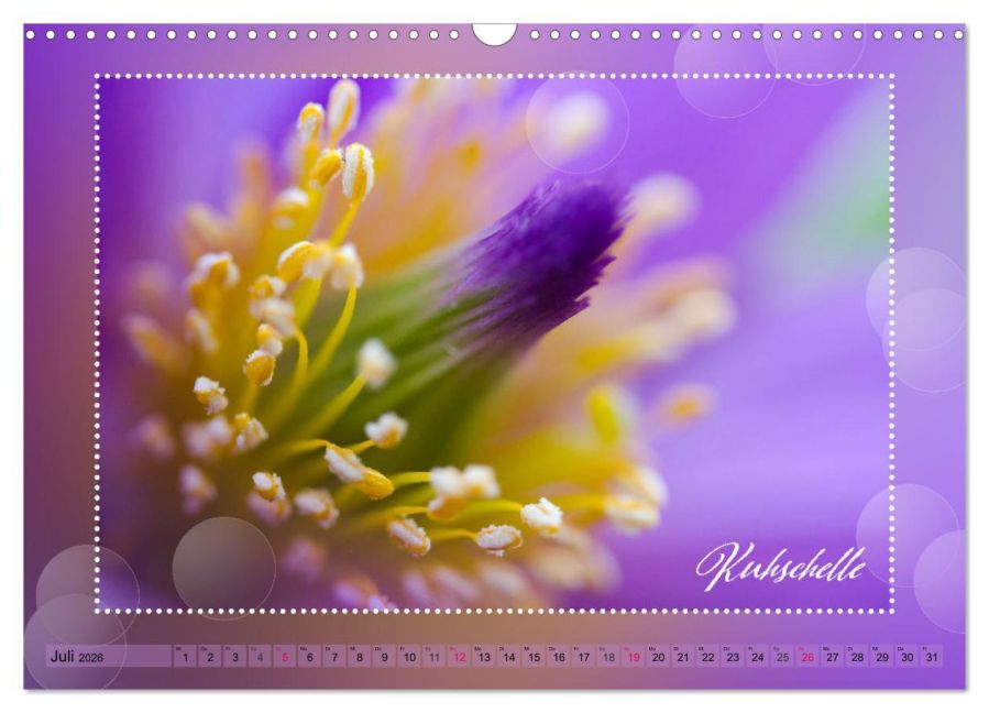 additionalImage12