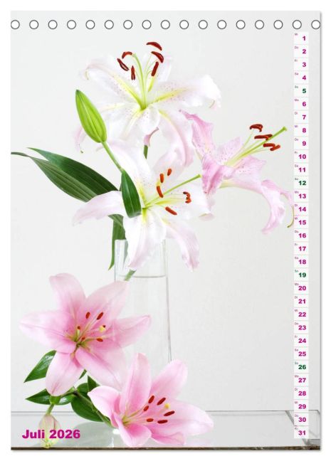 additionalImage12