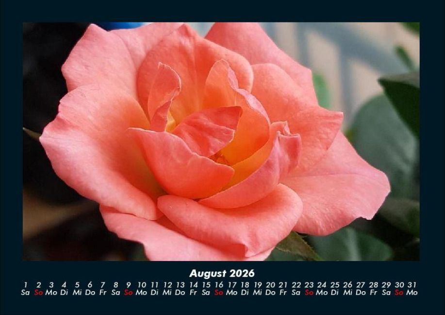 additionalImage12