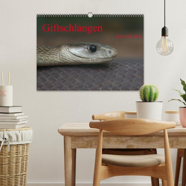 additionalImage1