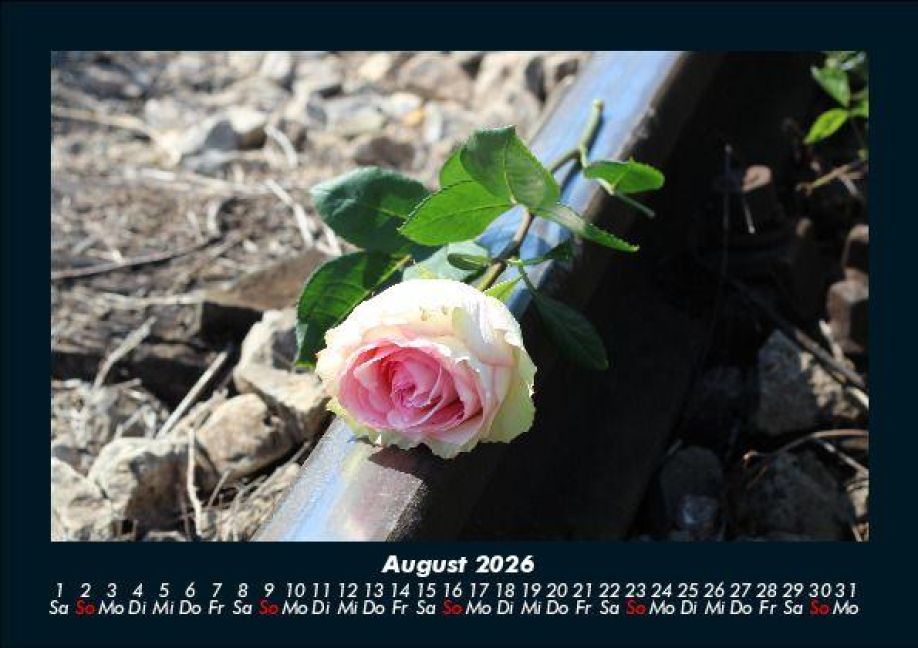 additionalImage12