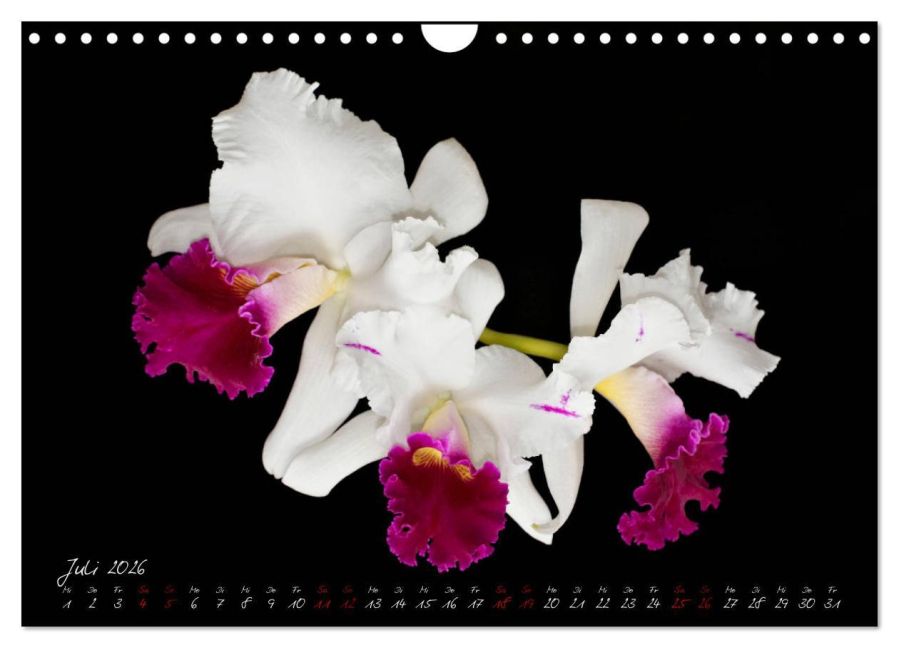 additionalImage12