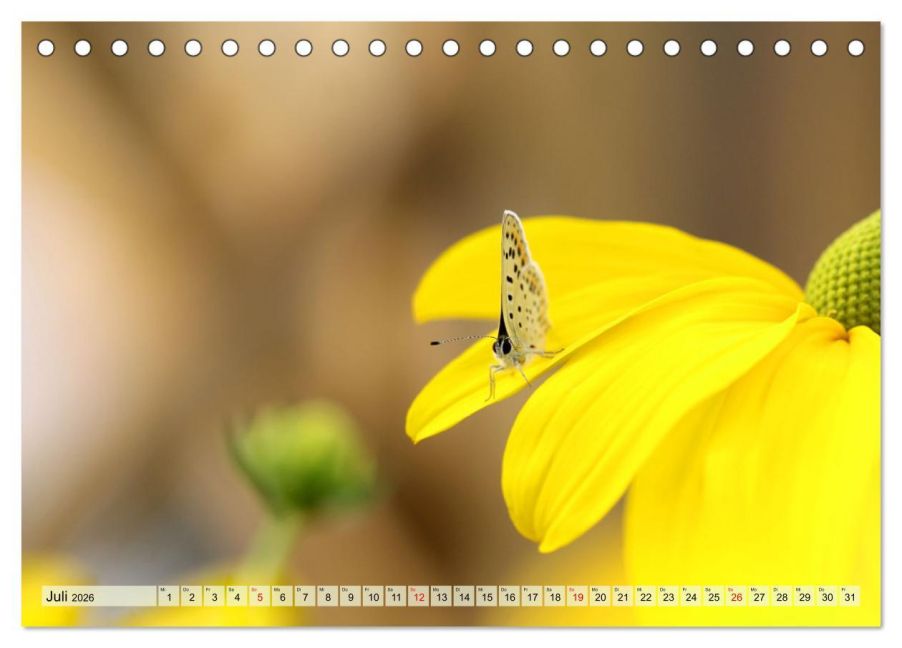 additionalImage12