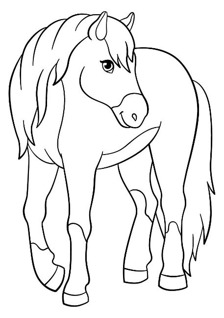 additionalImage6