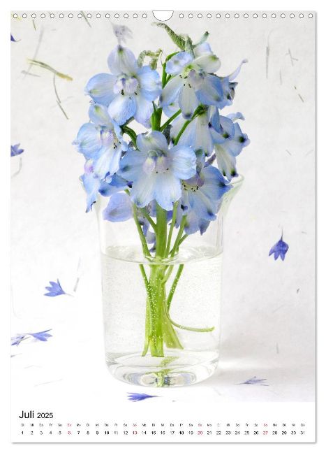 additionalImage12