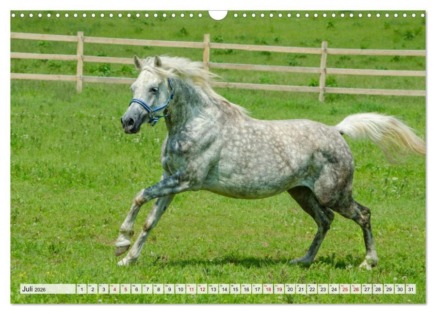 additionalImage12