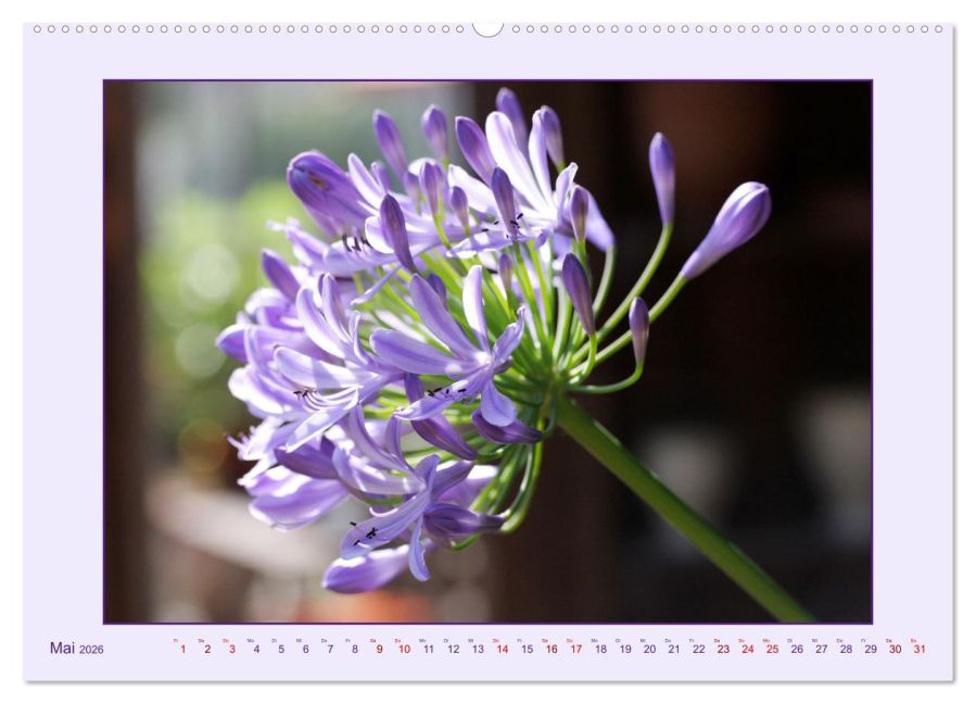 additionalImage10