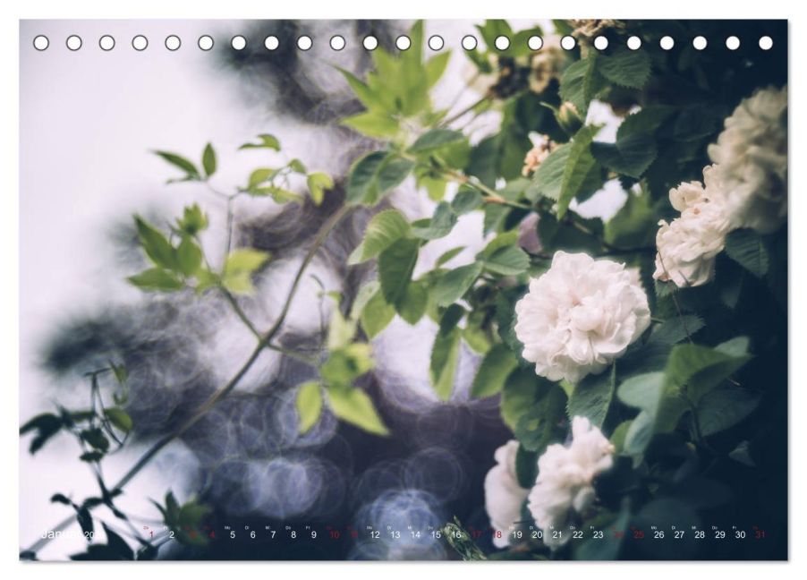 additionalImage6