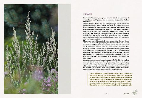 additionalImage4