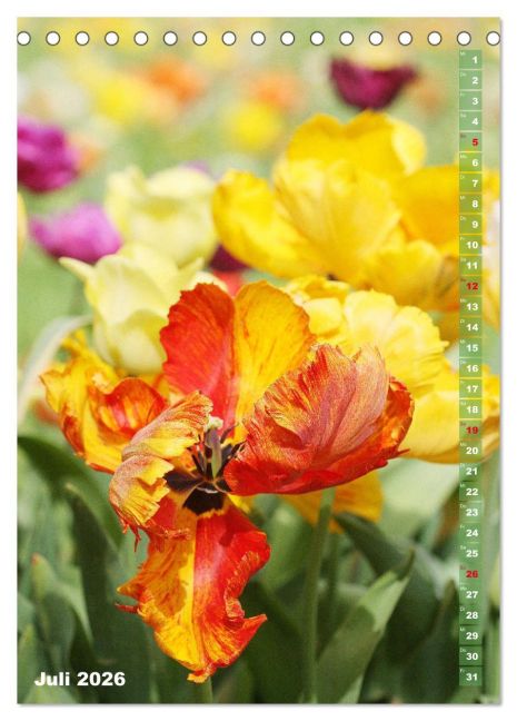 additionalImage12