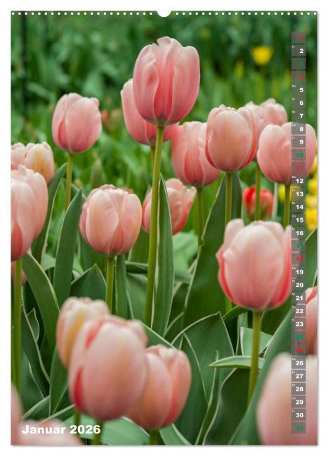 additionalImage5