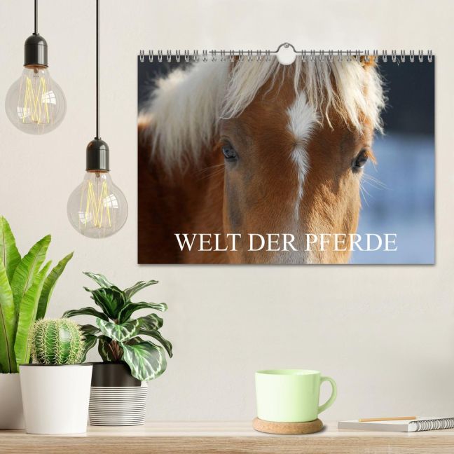 additionalImage1