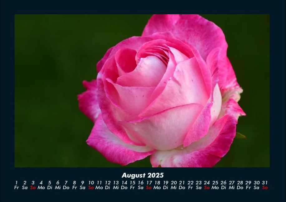 additionalImage12