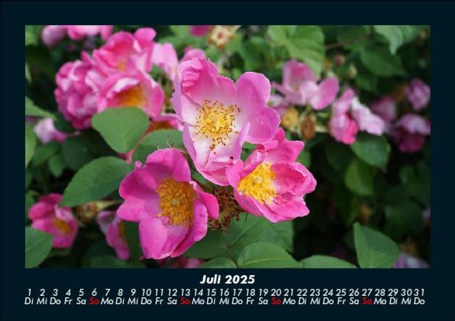 additionalImage11