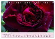 additionalImage8
