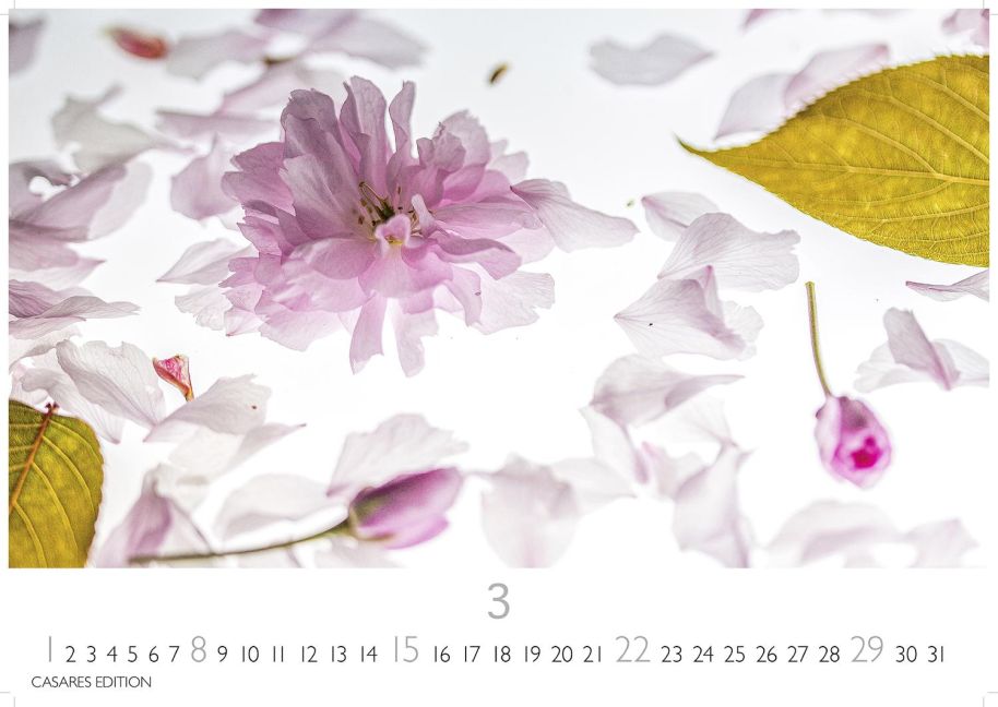 additionalImage3