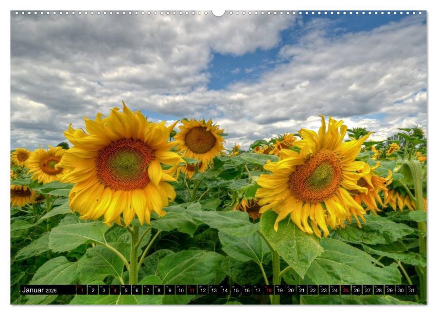 additionalImage6