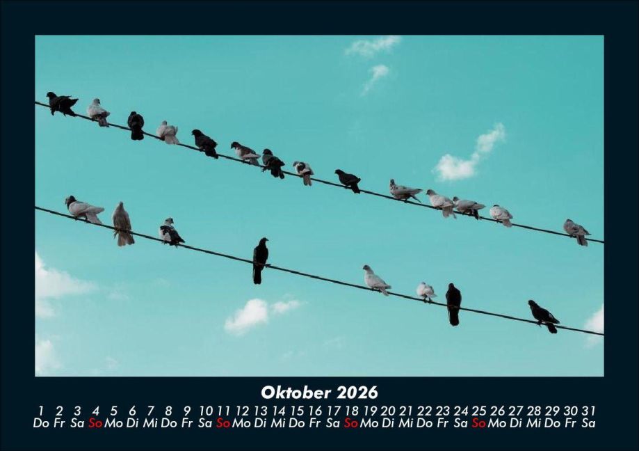 additionalImage2