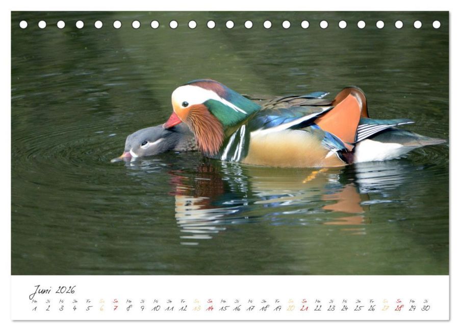 additionalImage11