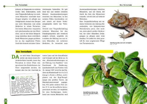 additionalImage1