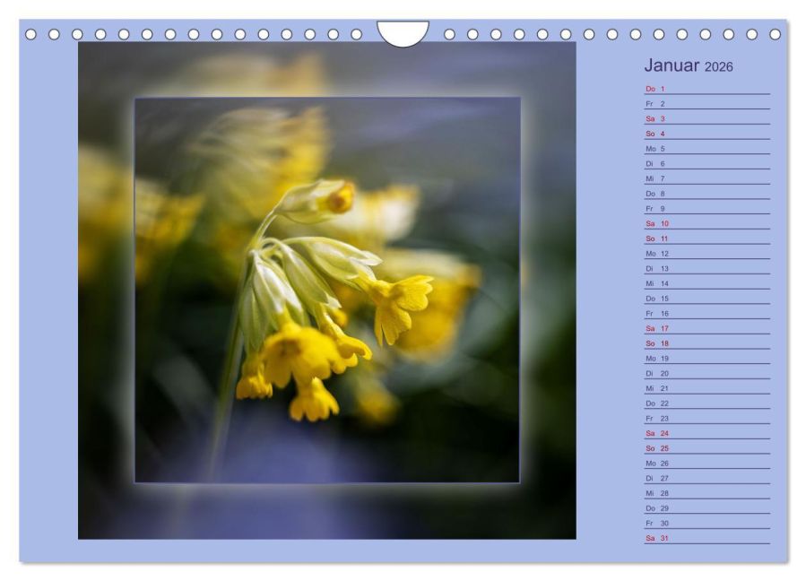 additionalImage6
