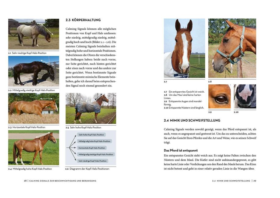 additionalImage2