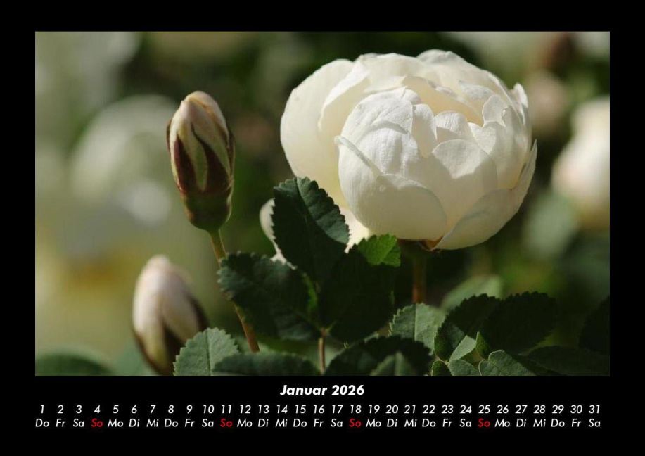 additionalImage5