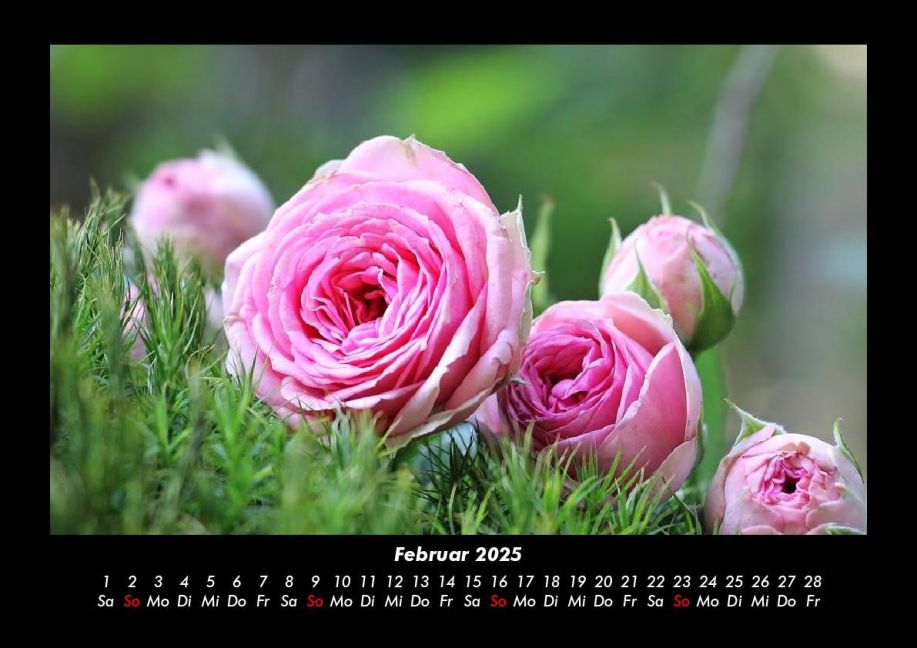 additionalImage6
