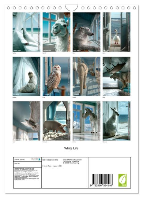 additionalImage5