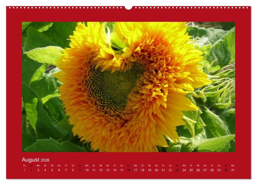 additionalImage12
