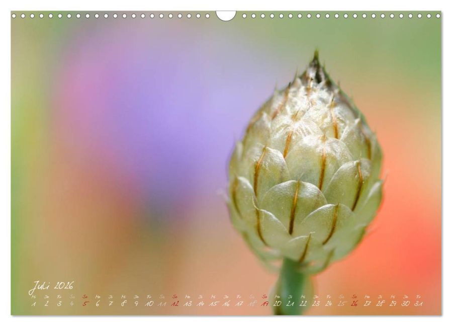 additionalImage12