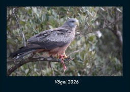 Cover-Bild zum Titel 'Vögel 2026 Fotokalender DIN A4' von 'Tobias Becker'