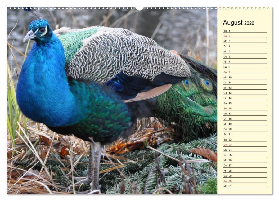 additionalImage12