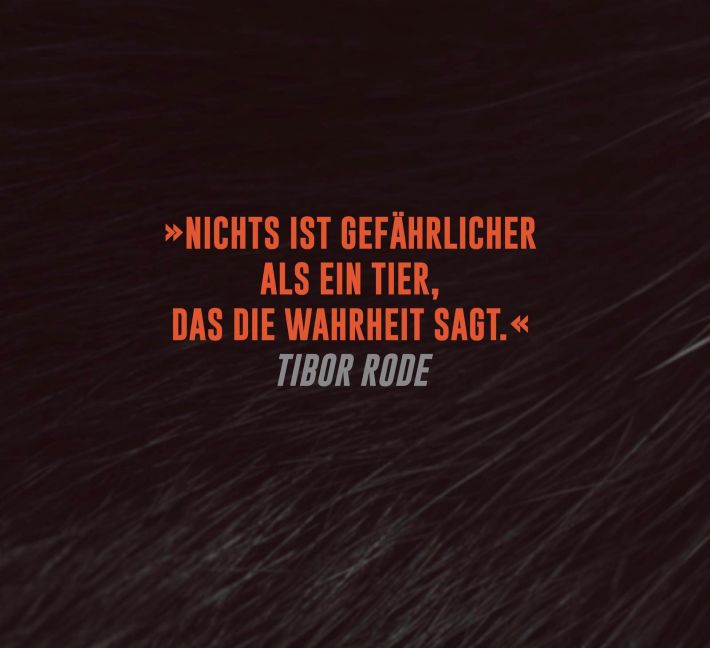 additionalImage1