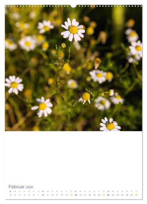 additionalImage6