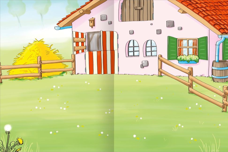 additionalImage2