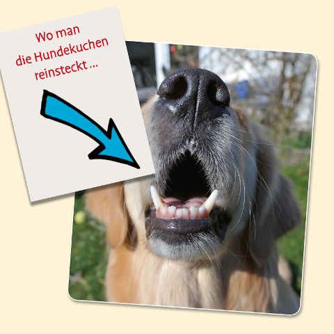 additionalImage1