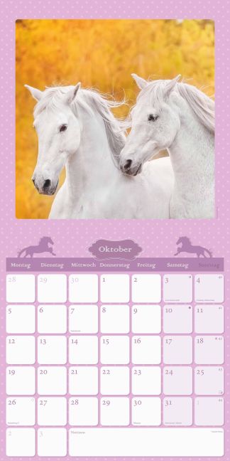 additionalImage11