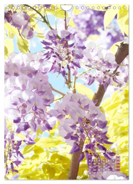 additionalImage8