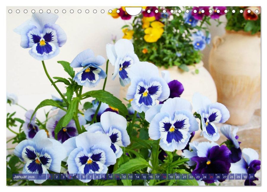 additionalImage6