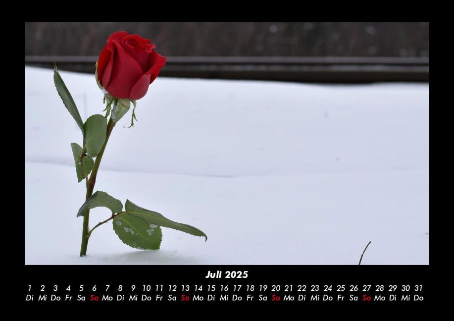 additionalImage11