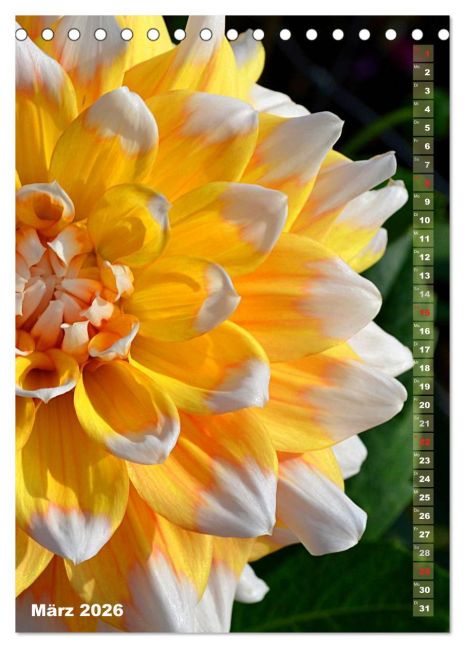 additionalImage8