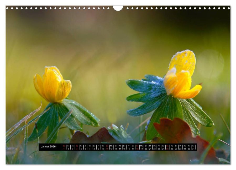 additionalImage6