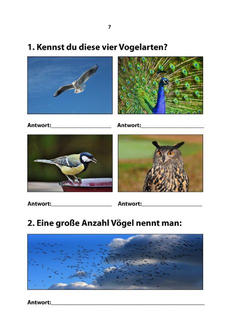 additionalImage6