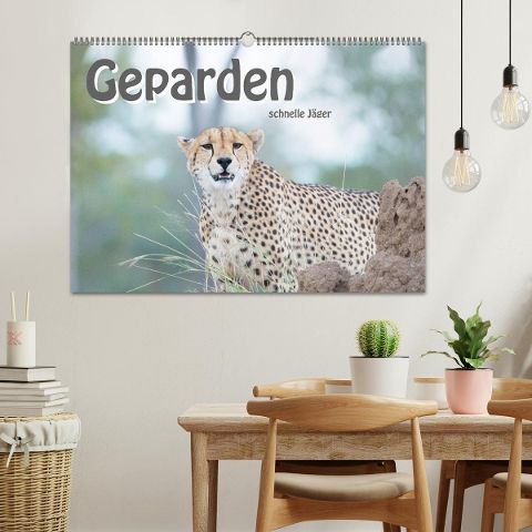 additionalImage1