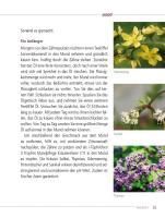 additionalImage13