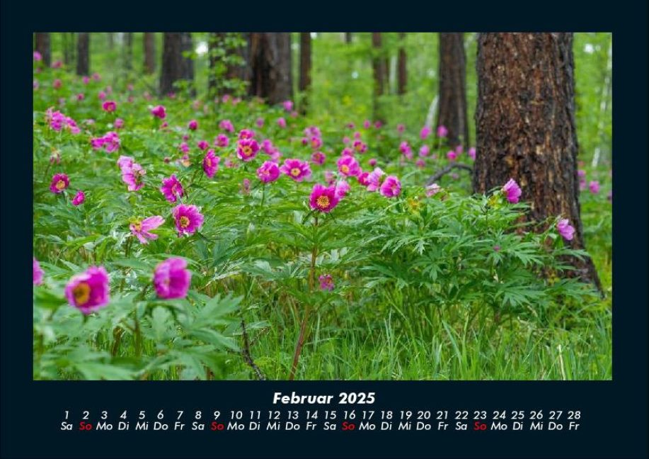 additionalImage6