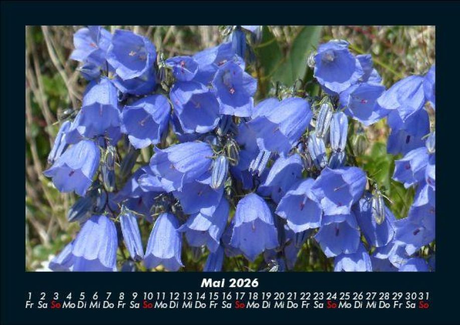 additionalImage9