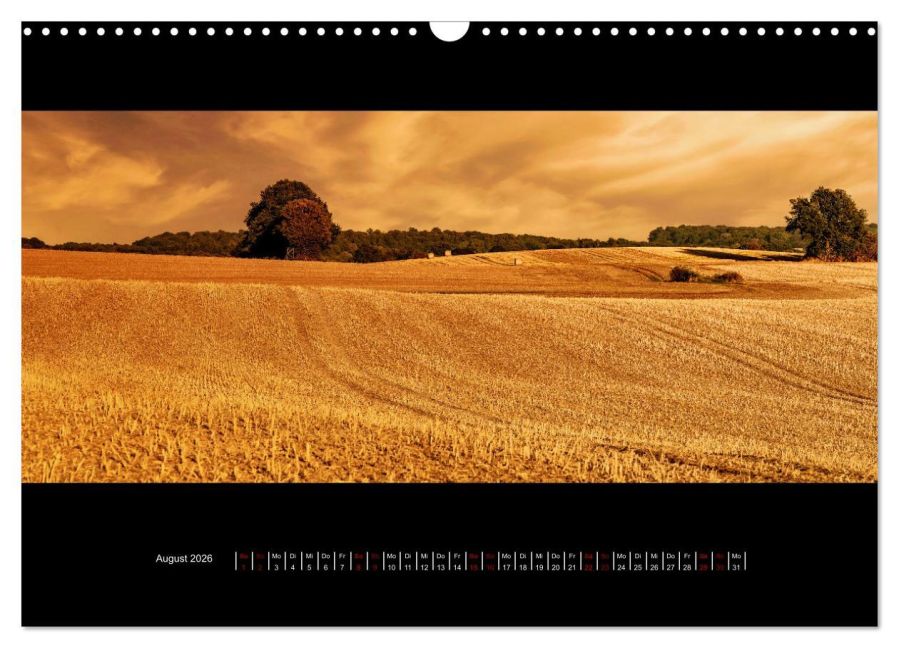 additionalImage13